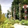 Spring In BC Stanley Park